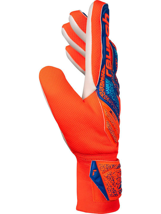 Reusch Reusch Attrakt Starter Solid Jnr Kids Goalkeeper Gloves Blue