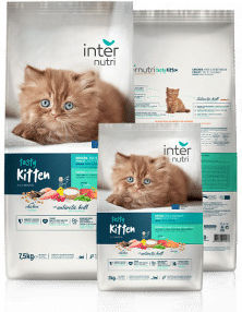 Internutri Ξηρά Τροφή για Ανήλικες Γάτες 2kg