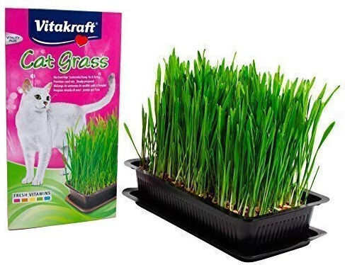 Vitakraft Grass for Cat 120g