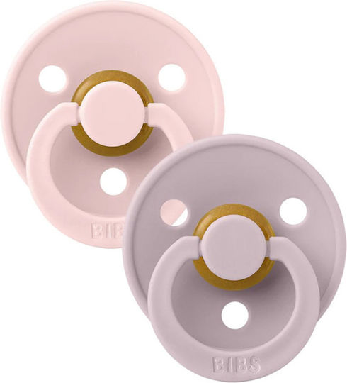 Bibs Pacifiers Rubber Blossom / Dusty Lilac for 0-6 months 2pcs