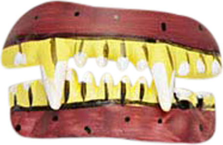 Carnival Teeth Yellow for Halloween 1pcs