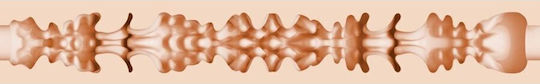 Fleshlight Masturbator Vagina