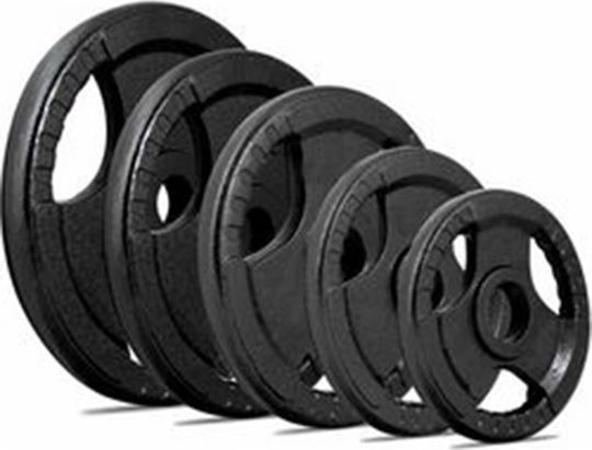 Pegasus Δίσκος Μεταλλικός 1 x 10kg Φ29mm