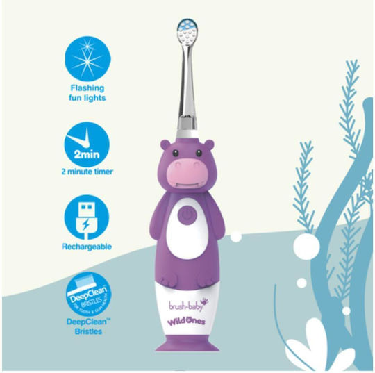 Brush Baby Electric Toothbrush for 0m+