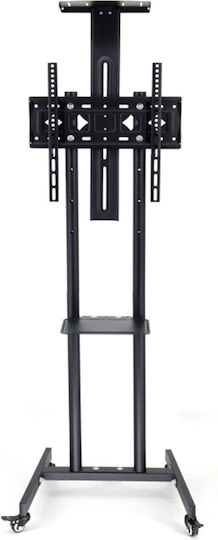 ATC Επιδαπέδια Βάση Tv 32'' 55'' Atc-y609s-2