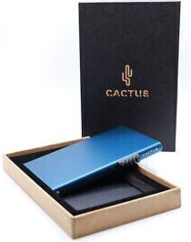 Cactus 10.6x6.2cm CT300-13