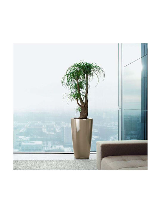 Lechuza Rondo Αυτοποτιζόμενη Γλάστρα Πλαστική Taupe 32x32x56εκ.