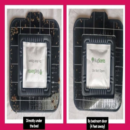 Gemma Traps for Bed Bugs 4pcs