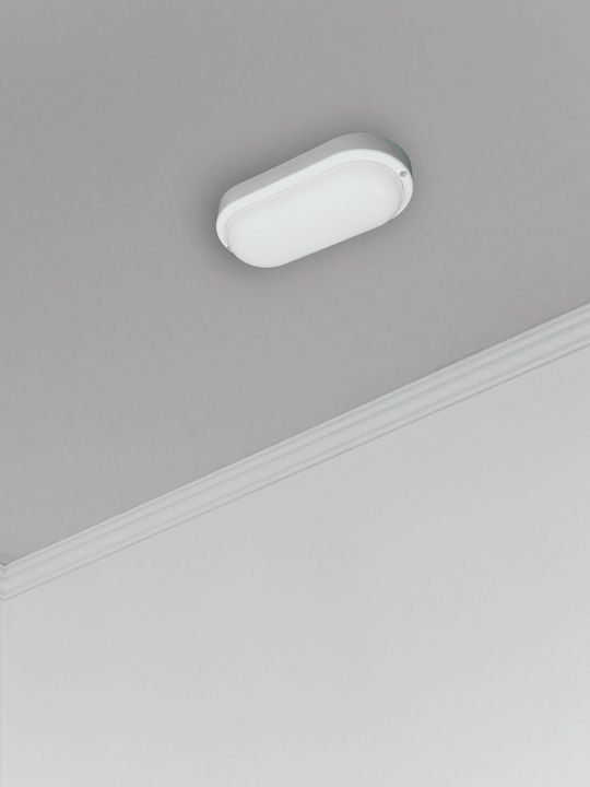 Eko Light Wandmontierte Außen-Schildkrötenleuchte LED IP64 8W