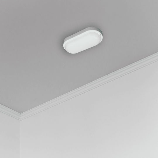 Eko Light Wandmontierte Außen-Schildkrötenleuchte LED IP64 8W