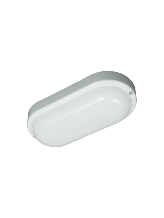 Eko Light Wandmontierte Außen-Schildkrötenleuchte LED IP64 8W
