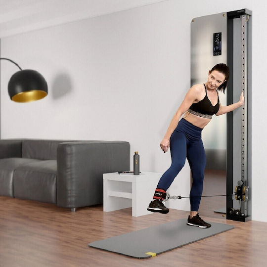 Luxury Fitness Wall-mounted Air Pulley (Mirror) Τροχαλία Πλάτης χωρίς Βάρη