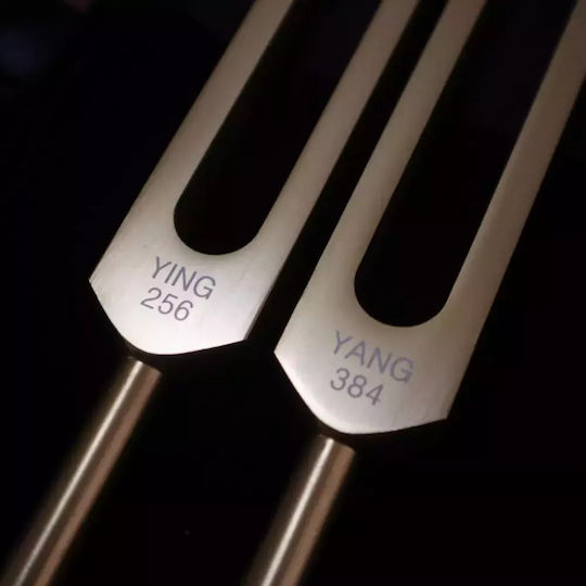 Therapeutic Tuning Fork Instruments Whole Body Tuning Fork C256hz & G384hz