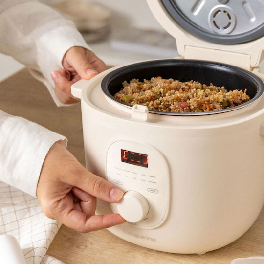 Create Rice Cooker 400W cu Capacitate 2lt