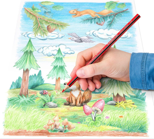 Staedtler Noris Color Farbstift-Set 36Stück Packung von 1 Verpackungen
