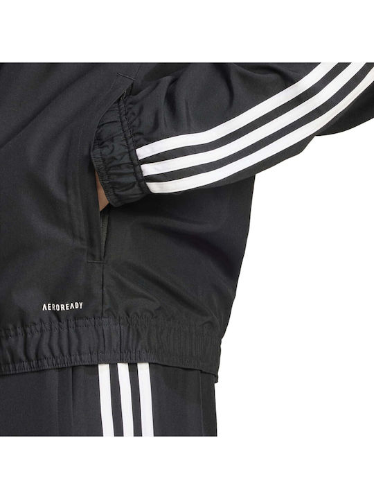 Squadra Herren Jacke Schwarz