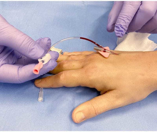 Erler Zimmer Appendages & Joints Model