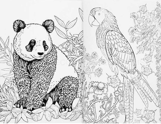 Colouring Book