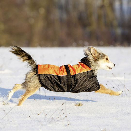 Kerbl Orange Waterproof / Windproof Dog Coat