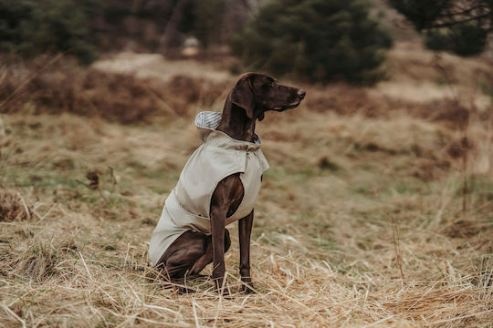 Hunter Brown Waterproof Dog Coat with 30cm Back Length