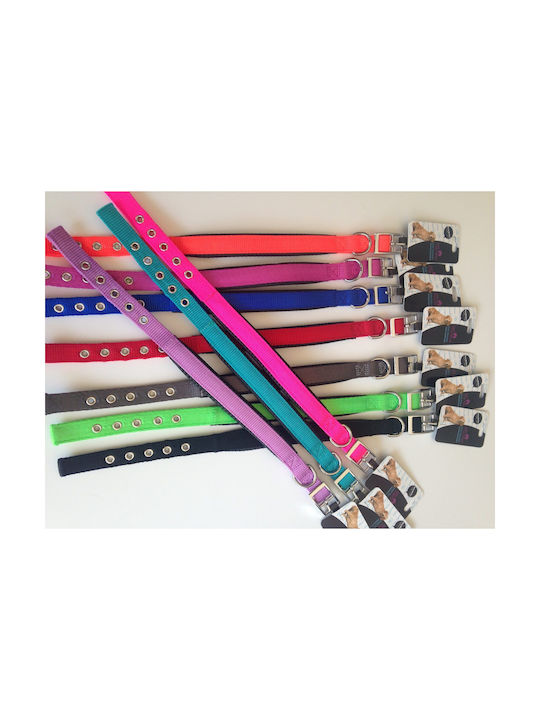 Pet Camelot Dog Collar in Red color 25mm x 65cm