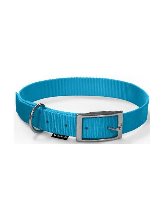 Glee Hundehalsband in Türkis Farbe Klein 16mm x 41cm Glee Hundehalsband in Türkis Farbe Klein 16mm x 41cm