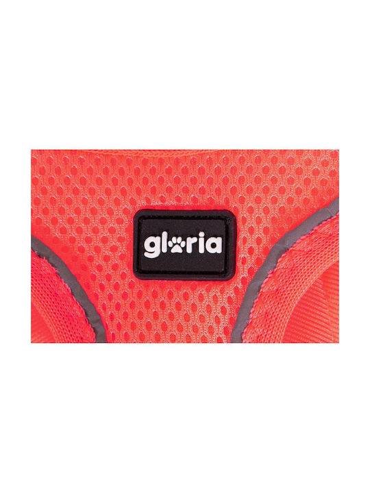 Gloriapets Dog Harness Vest Fuchsia