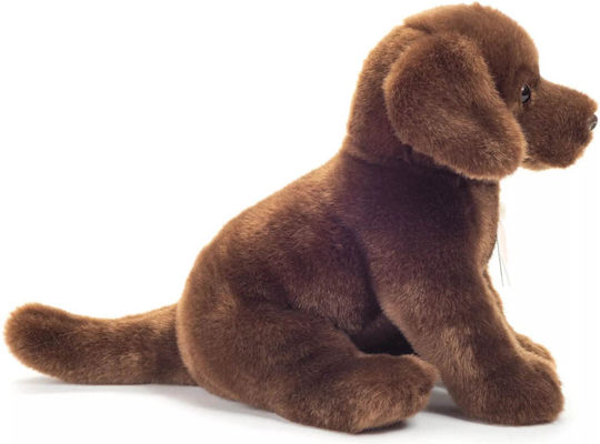 Teddy Teddy Plush Puppy for 3+ Years 25 cm