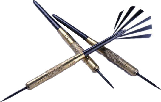 Steel Tip Darts 20gr