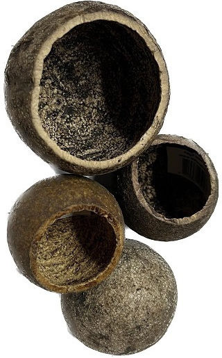 Lemn de măr ceramic Nature