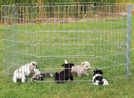 Trixie Foldable Dog Park 154x91cm Made of Metal in Silver Colour 154 x 91 x 91cm