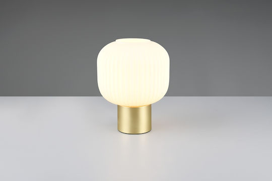 Trio Lighting Διακοσμητικό Φωτιστικό E27 20x26εκ.