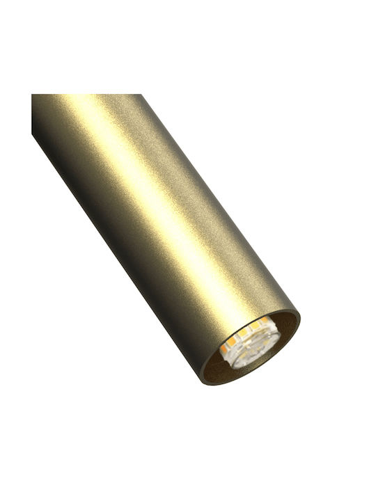 Eko Light Φωτιστικό Τοίχου Χρυσό