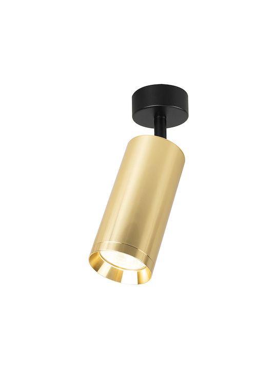 Eko Light Einzel Spot mit Fassung GU10 in Gold Farbe