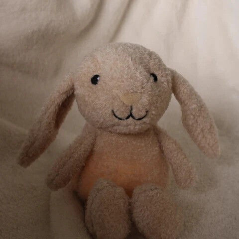 Flow Animal made of Fabric with Lights for 0++ Months