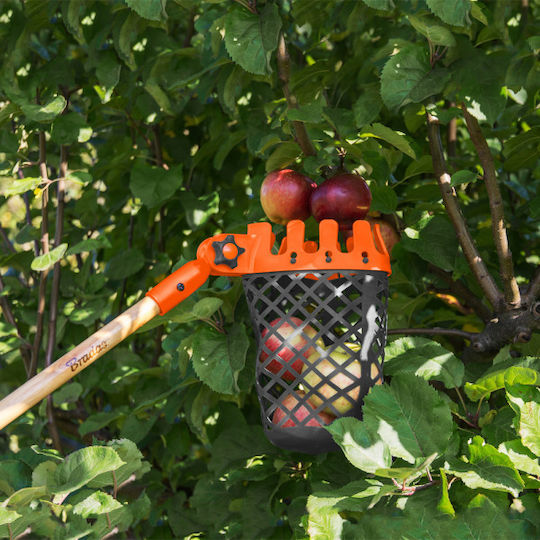 Bradas Fruit Collector