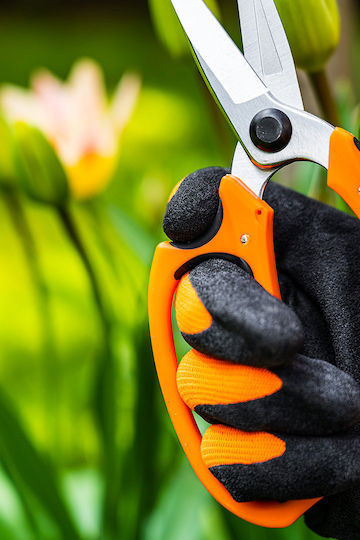 Neo Tools 15-215 Scissor
