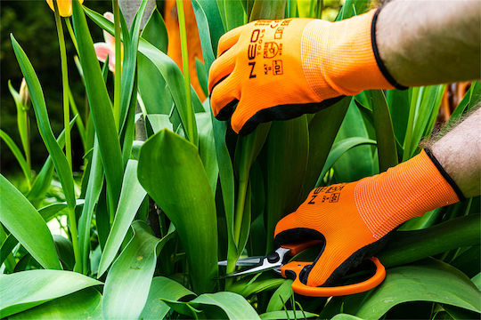 Neo Tools 15-215 Scissor