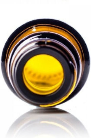 Little Bottle from Glass Capless 30ml (1pcs)