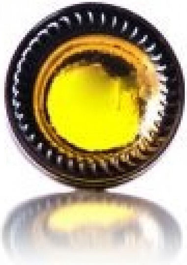 Μπουκαλάκι από Γυαλί χωρίς Καπάκι 100ml