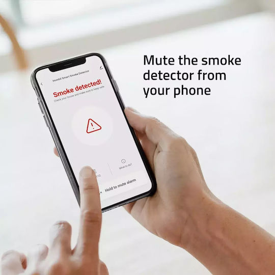 Hombli Smoke Detector