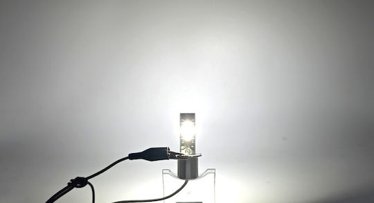 Lampen Auto H3 / DRL Canbus LED 5500K Kaltes Weiß 12-24V / 12V 2Stück