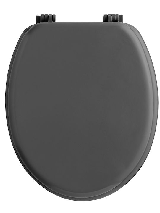 Plastic Toilet Seat Gray 37cm