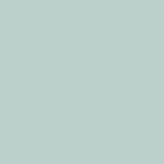 Royal Talens Chalk Paint 250ml Sea Green