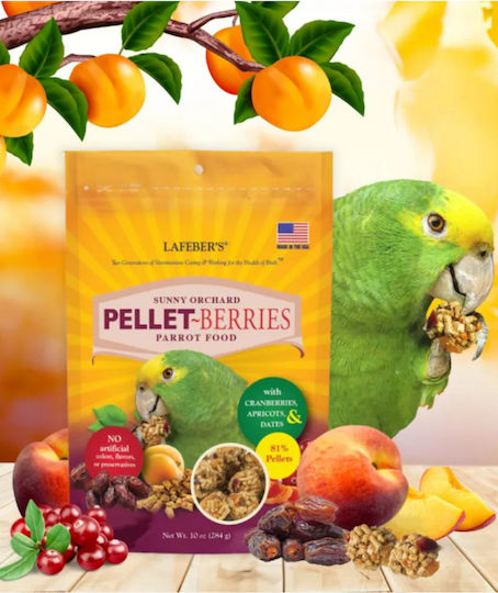 Lafeber Pellet-berries Sunny Orchard Pellet Food In Ball Shape Medium Large Parrots 284g