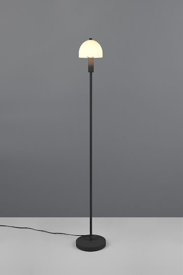 Trio Lighting Φωτιστικό Δαπέδου Υ120εκ. με Ντουί για Λαμπτήρα E14 Μαύρο