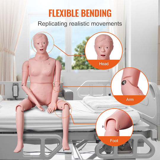 Vevor Interactive Training & CPR Model