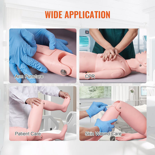 Vevor Interactive Training & CPR Model