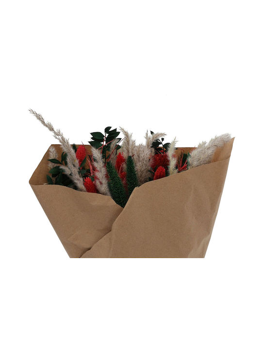 Dried Plant Multicolour 40cm
