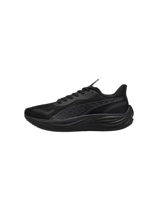 Velocity Nitro 3 Herren Sportschuhe Laufen Schwarz